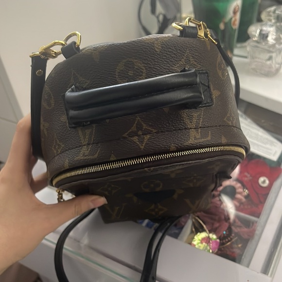 Louis Vuitton Palm Springs Mini - Picture 4 of 8